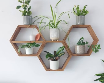 Wood Hexagon Shelves: Honeycomb Plant Display, Set of 3