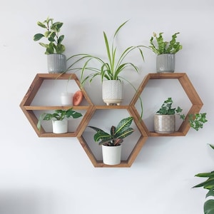 May include: A set of six hexagonal wooden shelves with a natural wood finish. The shelves are arranged in a honeycomb pattern and are filled with potted plants. The plants include a spider plant, a fern, a pothos, and a succulent.