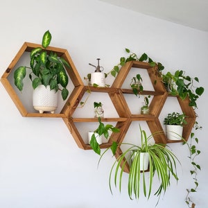 Set of Five Wood Hexagon Shelves - 5 Hexagons - Home Decor - Wall Hangings - Wall Decor - Honeycomb Shelves - Plant Display