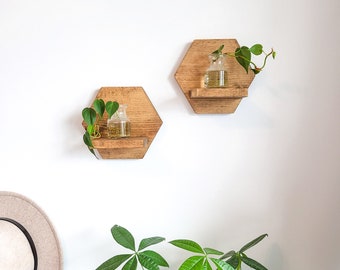 2 Set Hexagon Plant Shelves - Wood Shelves - Rustic Décor - Plant Décor - Wall Decor