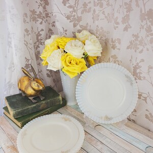 May include: Two white milk glass plates with a scalloped edge and gold trim. The plates are stacked on a wooden surface. A bouquet of yellow and white roses is in the background.