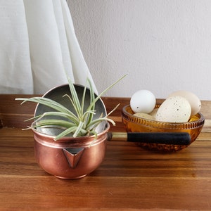 May include: A copper pot with a black handle and a green air plant inside. The pot is sitting on a wooden tray with a glass bowl of speckled eggs next to it.