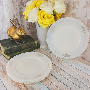 May include: Two white vintage milk glass plates with a blue and gold trim. The plates are stacked on a wooden surface.