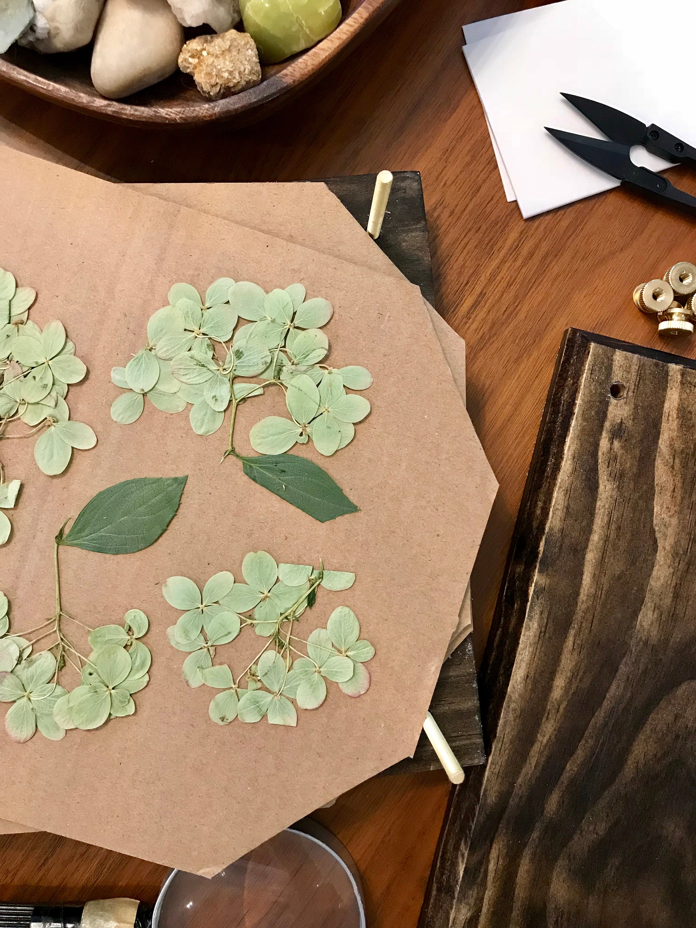 Modern Handmade Flower Press Wood Flower Herb Plant Press Etsy