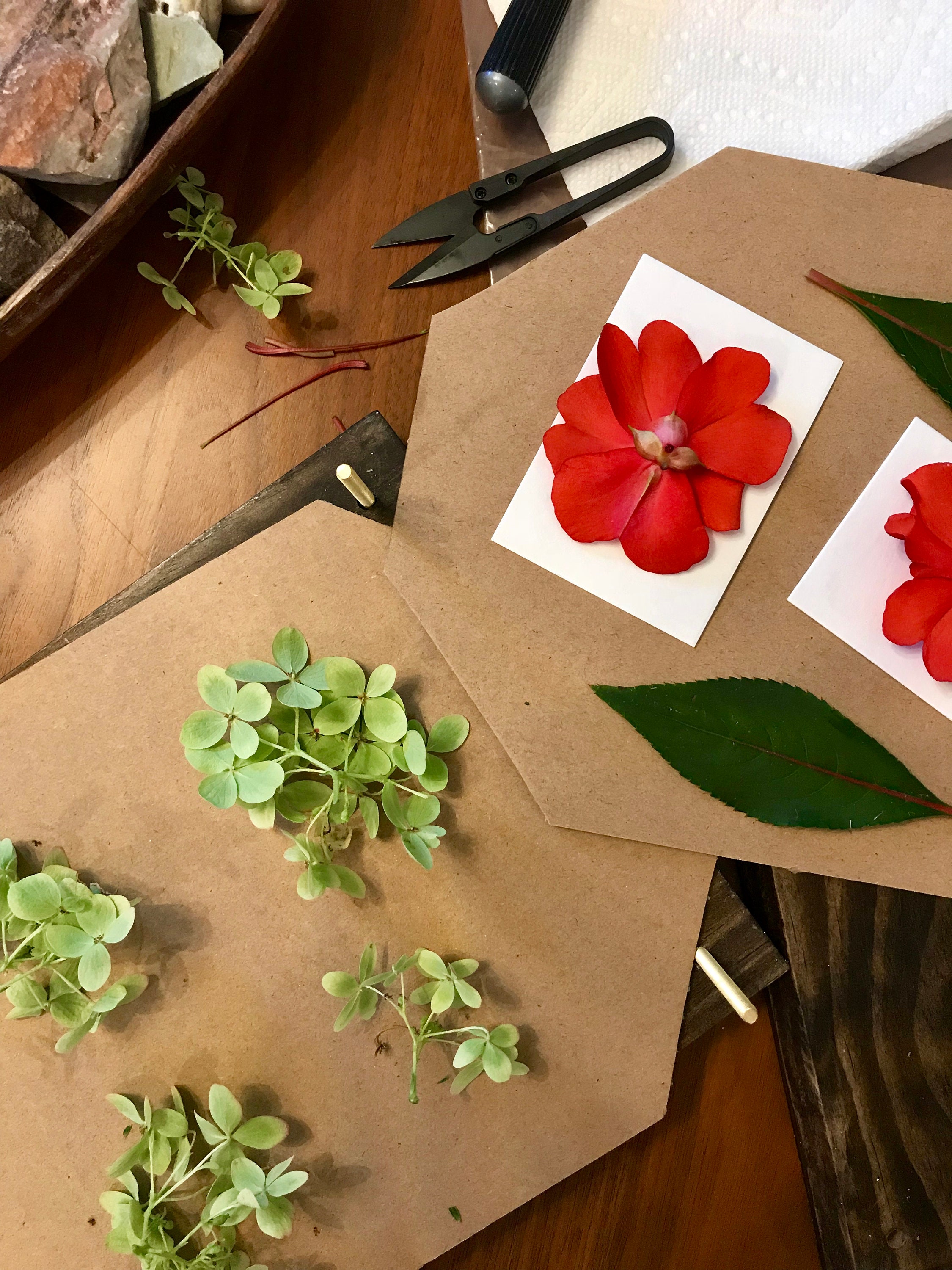 Modern Handmade Flower Press Wood Flower Herb Plant Press Etsy