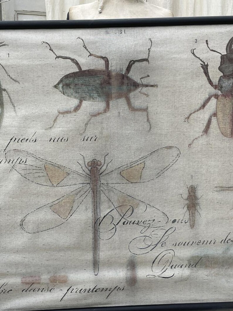 Scroll Painting Insects Etsy