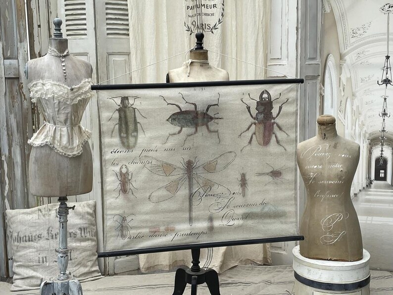 Scroll Painting Insects Etsy