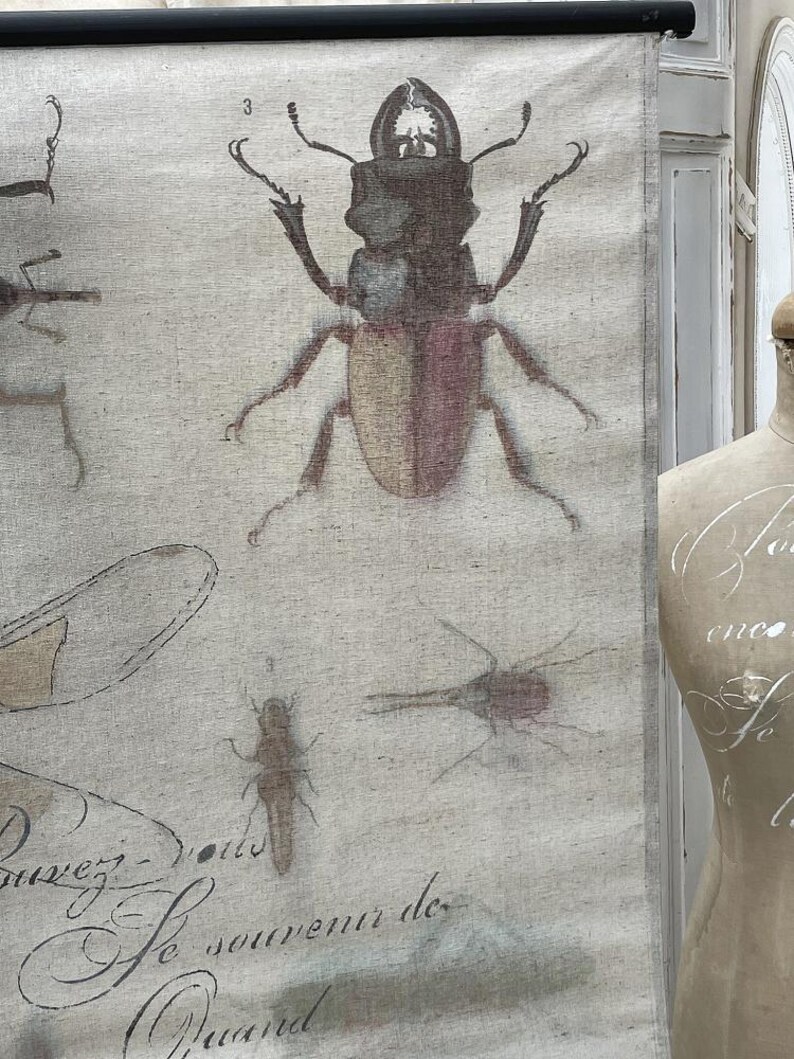 Scroll Painting Insects Etsy