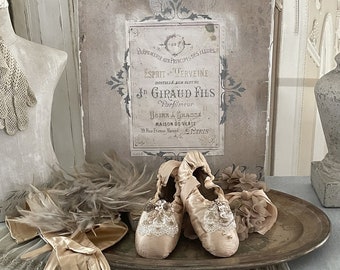 Brocante pointe shoes with lace***