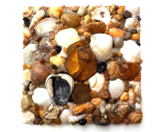 Naturkunst Muschelbild Meereslandschaft Mosaik Wandbild Muscheln natürlich