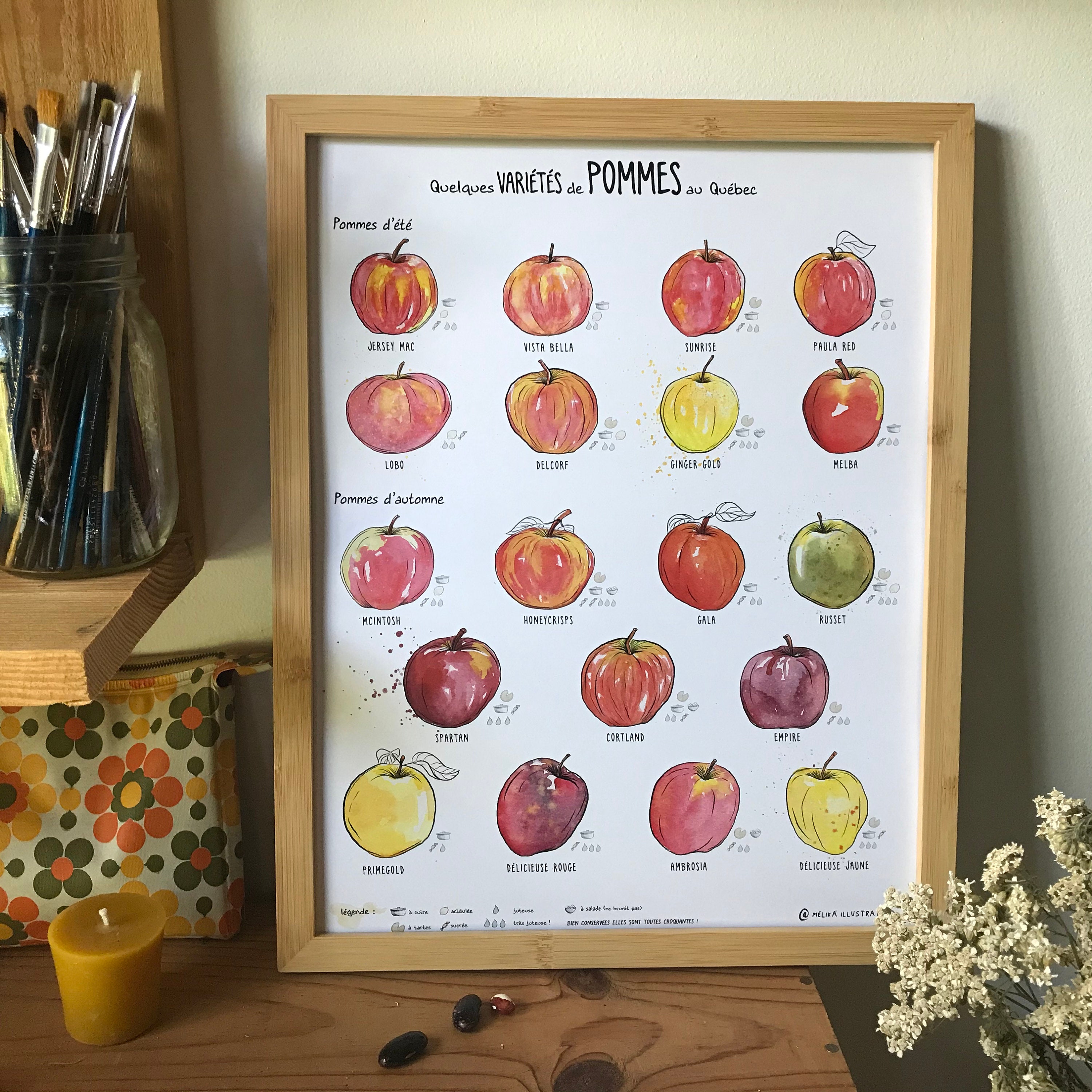 Affiche - Les Variétés De Pommes Du Quebec - Etsy New Zealand, image size:3000x3000