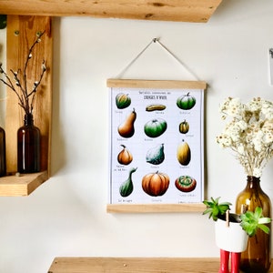 Puede incluir: Un póster con marco de madera muestra ilustraciones de varias variedades de calabaza de invierno. El póster, titulado "Variétés communes de COURGES D'HIVER", presenta dibujos coloridos de calabazas, calabazas y otros tipos de calabazas, ideal para la decoración.