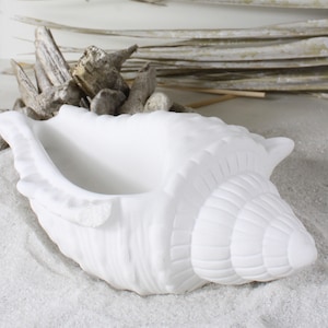 Può includere: Vaso da fiori in ceramica bianca a forma di conchiglia con un design testurizzato dettagliato. Il vaso è a forma di conchiglia con un'ampia apertura e una punta appuntita.
