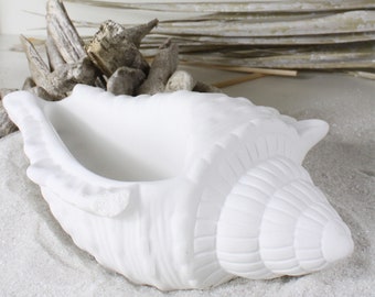 Decorazione marittima conchiglia in cemento, ciotola, bianco grigio, vassoio per gioielli, ciotola, regalo vacanze estive sole mare, dimensioni 17 cm x 11 cm