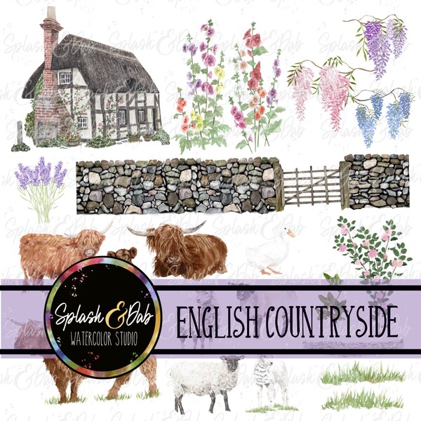 English countryside, British countryside, highland cattle, sheep, cottage, stone fence, hollyhocks, lavender, wisteria, English Rose,