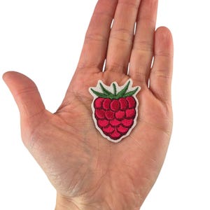 Könnte beinhalten: Ein roter Himbeerfleck mit grünen Blättern und Stiel, gehalten in einer Hand. Der gestickte Aufnäher ist eine detaillierte Darstellung der Frucht mit weißem Rand. Der Aufnäher ist etwa 3,8 cm groß.