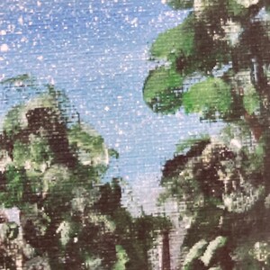 May include: A textured canvas painting depicting a night sky filled with small white stars above dense green trees. The foliage is rendered in various shades of green, creating a thick canopy that frames the bright blue starry night sky above.