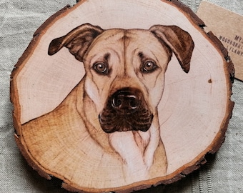 Custom pet portraits on wood