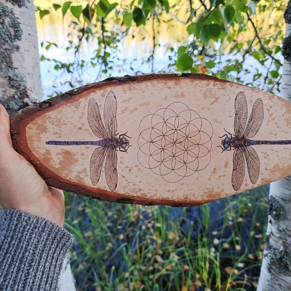 Dragonflies and Flower of Life pyrography