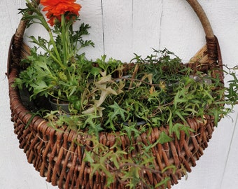 Old plant basket wicker basket