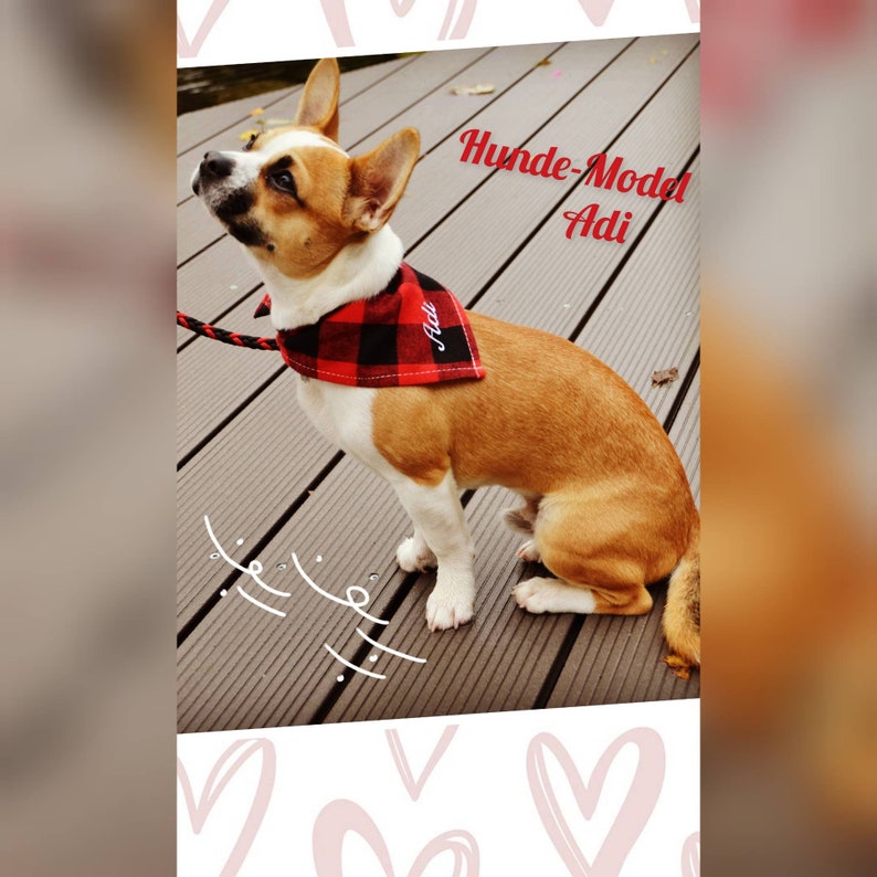 Halstuch Hund bestickt mit Namen Personalisiert Wunschnamen Etsy