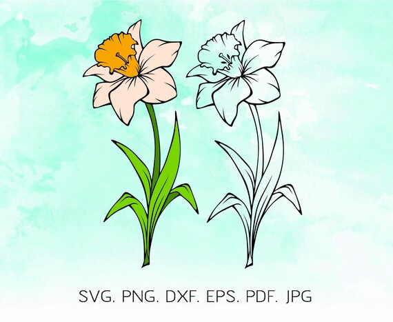 Download Narcissus Svg Spring Flower Svg Bouquet Svg Flower Svg Etsy Yellowimages Mockups