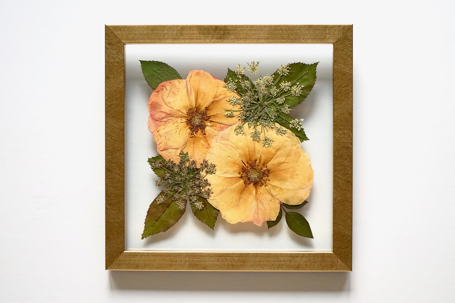 Hand Pressed Framed Flowers: Yellow and Pink Rose with ...