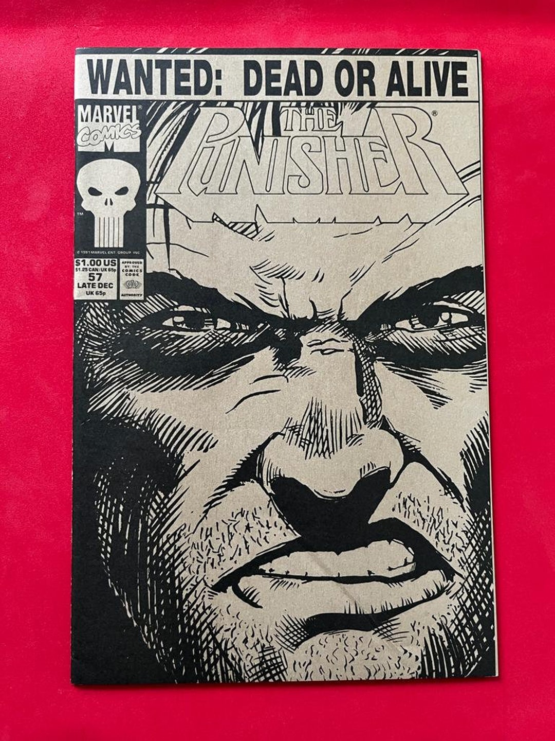 Marvel Comics the Punisher 