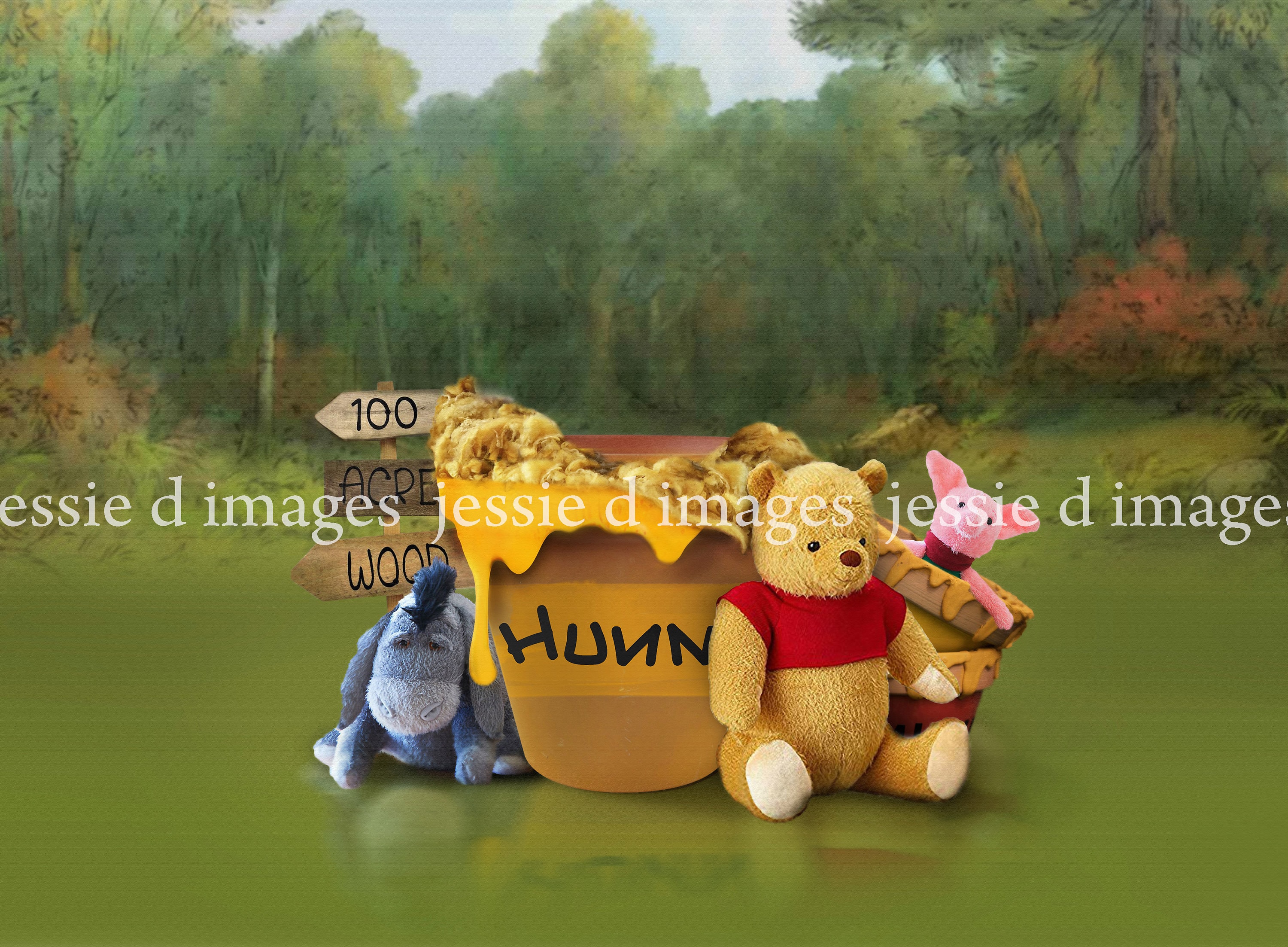 Winnie the Pooh 100 Acre Wood Digital Background - Newborn