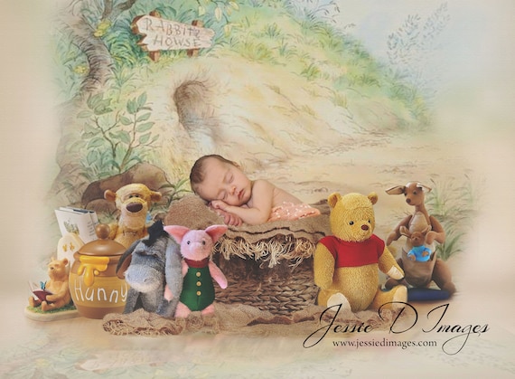 winnie the pooh newborn photos