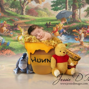 Winnie the Pooh digital background - Newborn photography