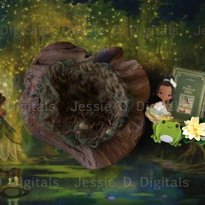 Princess and the Frog Newborn Digital Background