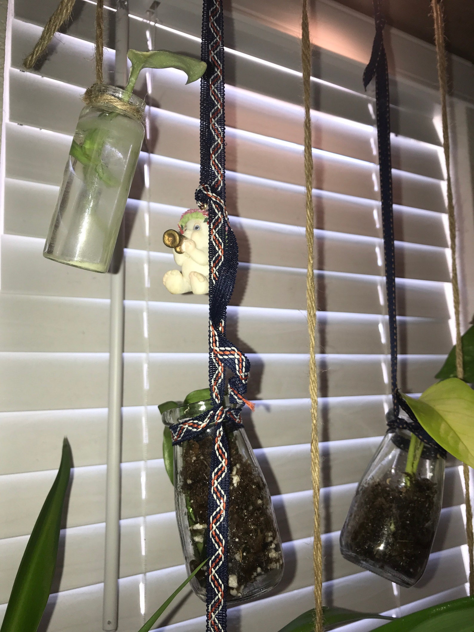 Plant Propagation Jars Etsy