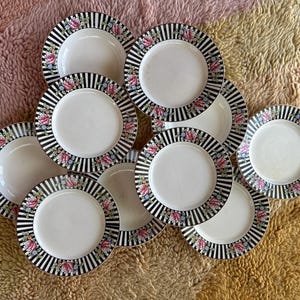 Vintage Floral Stripe Dinnerware Set | 10 Piece | Antique J & G Meakin Castilian Rose Plates Soup Bowls | Cottage Set