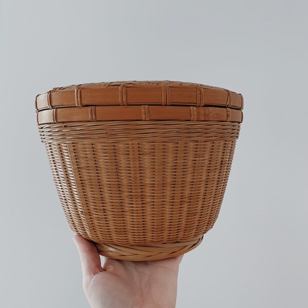 Vintage Plant Pot Basket with Lid Wicker Rattan Cane Boho Bohemian 70's