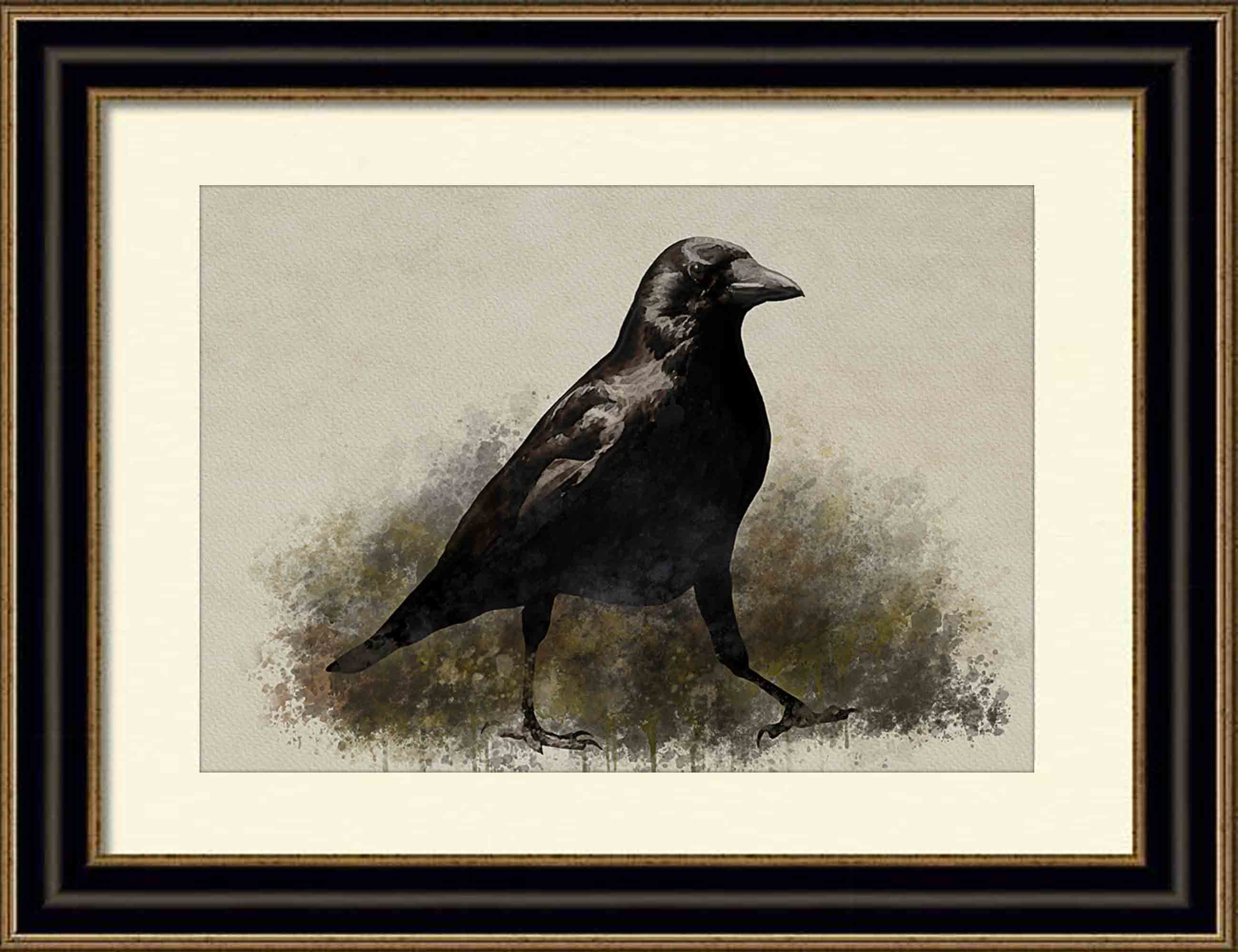 Poster XXL Corbeaux noirs, imprimé corbeau aquarelle, 50 x 70 et plus, à  commander séparément -  France