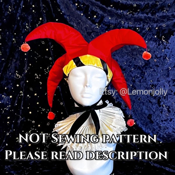 Medieval Jester Costume - Etsy