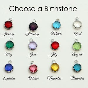 Puede incluir: Un gr&aacute;fico titulado Choose a Birthstone que muestra doce dijes circulares de tono plateado, cada uno con una piedra preciosa facetada de diferente color para los meses de enero a diciembre, etiquetados con texto en cursiva negra debajo.