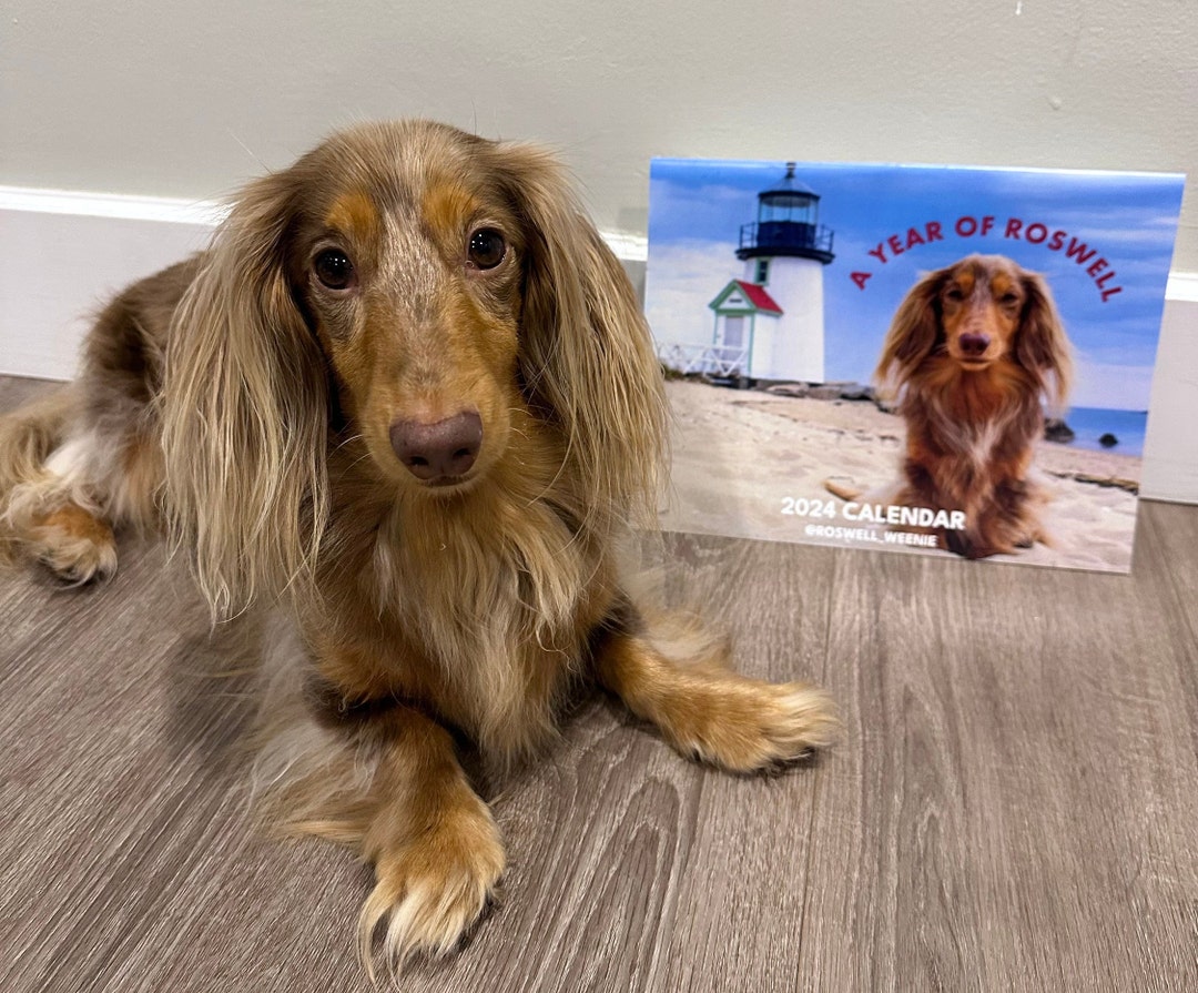 Roswell's 2024 Calendar Etsy