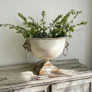 Könnte beinhalten: Ein verwitterter, cremeweißer Metall-Pflanzkelch mit Sockel und Löwenkopf-Griffen, an denen Ringe hängen. Der Kelch ist mit grünen Zweigen und kleinen weißen Blüten gefüllt und weist eine abgenutzte Oberfläche mit sichtbaren braunen Roststellen auf.
