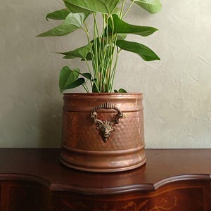 Könnte beinhalten: Anthurium-Pflanze mit grünen Blättern und roten Blüten in einem kupferfarbenen Pflanzgefäß. Der Pflanztopf hat eine gehämmerten Textur und dekorative Griffe mit einem Gesichtsdesign. Die Pflanze steht auf einer dunklen Holzoberfläche.