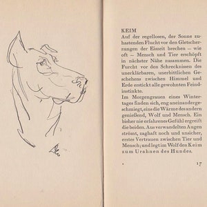 May include: A black and white line drawing of a dog's head, looking to the right. The drawing is on a page from a book with text about the origins of the dog. The text reads "KEIM" and "Auf der regellosen, der Sonne zu-hastenden Flucht vor den Gletscher-zungen der Eiszeit brechen - wie oft - Mensch und Tier ersch&ouml;pft in n&auml;chster N&auml;he zusammen. Die Furcht vor den Schrecknissen des unerkl&auml;rbaren, unerbittlichen Geschehens zwischen Himmel und Erde erstickt alle gewohnten Feind-instinkte."