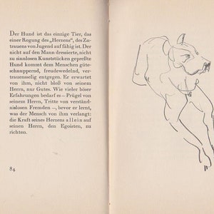 May include: A black and white line drawing of a dog in a sitting position. The dog is looking to the right of the image. The drawing is on a white background.
