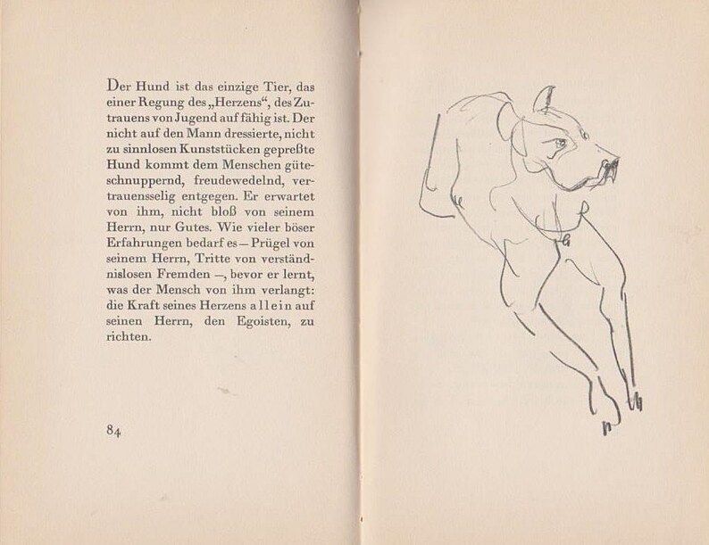 May include: A black and white line drawing of a dog in a sitting position. The dog is looking to the right of the image. The drawing is on a white background.