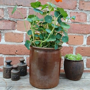 Könnte beinhalten: Ein brauner Keramiktopf mit einer blühenden Pflanze, mit grünen Blättern und einer orangefarbenen Blüte. Daneben drei antike Gewichte und ein kleinerer, strukturierter Topf mit Grünzeug. Der Hintergrund ist eine Backsteinmauer.