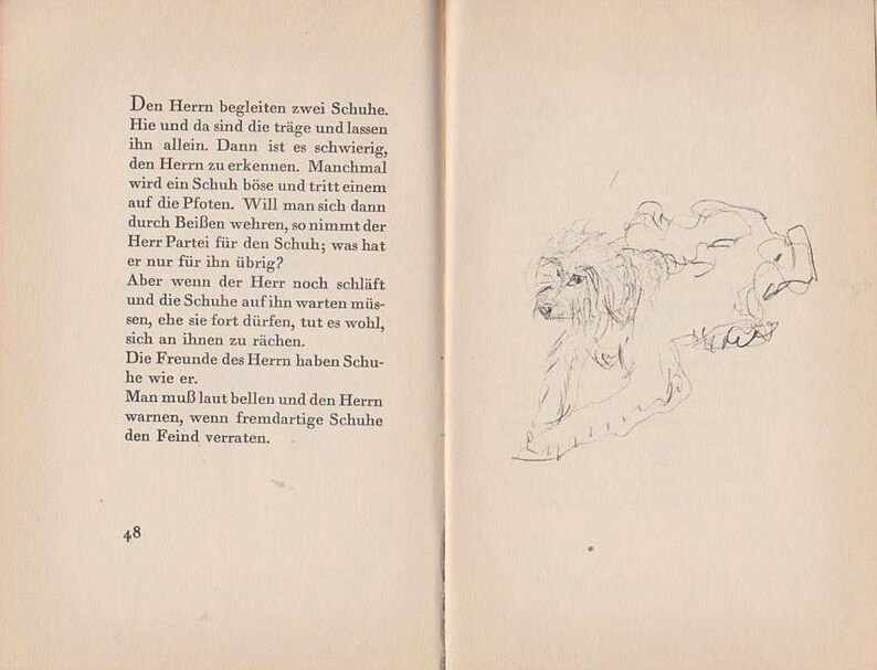 May include: A black and white illustration of a dog with a short, curly coat. The dog is lying down with its head turned to the side. The illustration is drawn in a simple, sketchy style.