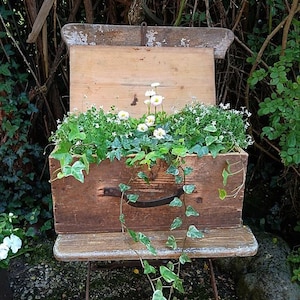 Antike Holzkiste, Holzkoffer, Holzbox, Pflanzkoffer, Pflanzkiste, Gartendeko, Vintage Garten, Landhaus