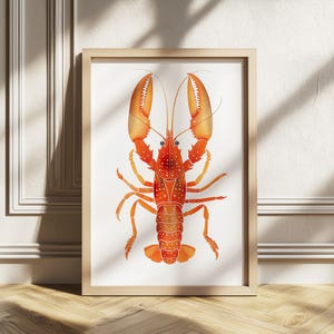 Red Lobster Print, Watercolor Seafood Poster, Trendy Lobster wall art, Coastal Kitchen Wall Decor Crayfish Print, Marine Life Printable art