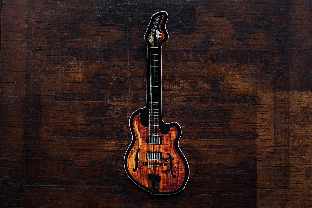 Languedoc 2024 guitar kit