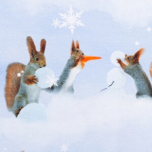 以下が含まれることがあります： 雪の中で遊ぶリスが3匹います。1匹は雪玉を持っていて、もう1匹はニンジンを持っていて、最後の1匹は雪玉を投げようとしています。